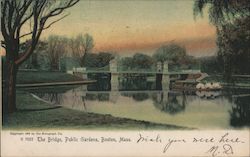 The Bridge, Public Gardens Postcard