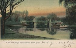 The Bridge, Public Gardens Boston, MA Postcard Postcard Postcard