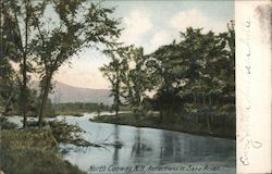 Reflections in Saco River Postcard