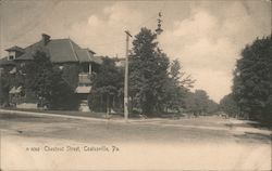 Chestnut Street Postcard