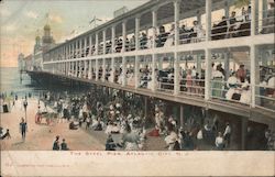 The Steel Pier Postcard