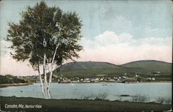 Harbor View Postcard