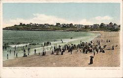 The Beach York, ME Postcard Postcard Postcard