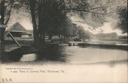 View in Dorney Park Postcard