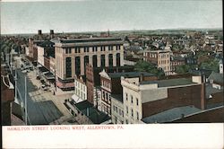 Hamilton Street Looking West Postcard