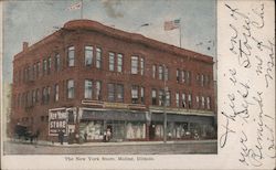 The New York Store Postcard