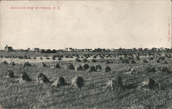Bird's-Eye View of Ipswich, S.D. South Dakota