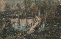 Lovers' Walk near Mt. Pleasant House Jefferson, MA Postcard Postcard Postcard