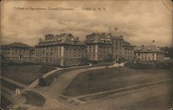 College of Agriculture, Cornell University Postcard