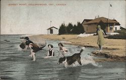 Sunset Point Postcard