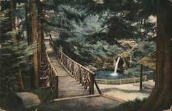 View in City Park Portland, OR Postcard Postcard Postcard