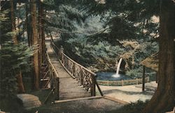 View in City Park Postcard