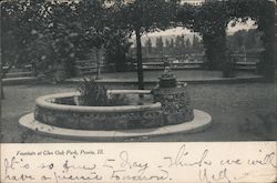 Fountain at Glen Park Postcard