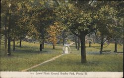 Lower Picnic Ground, Bradley Park Postcard