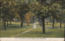 Lower Picnic Ground, Bradley Park Peoria, IL Postcard Postcard Postcard