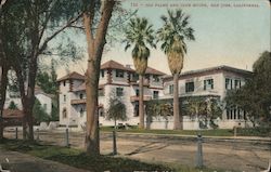 Old Palms And Club House Postcard