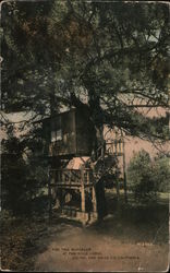 Pine Tree Bungalow at Pine Hills Lodge Postcard