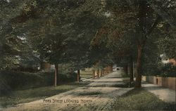Park Street Looking North Wilton, NH Postcard Postcard Postcard