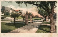 Orange Grove Avenue Postcard