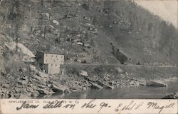 Newland Coal Co. Postcard