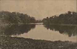 Auburn Post Card  Sepia Postcard Advertising Postcard