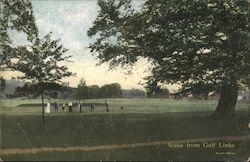Scene From Golf Links Postcard