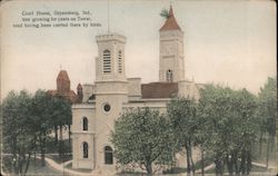 Court House, Tree Growing for years on Tower, Seed Having Been Carried There by Birds Postcard