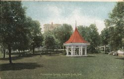 Prosperine Spring Postcard