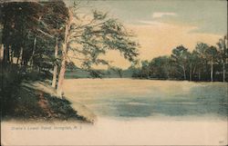 Drake's Lower Pond Postcard