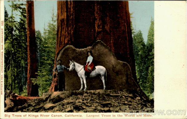 Britton & Rey. Lithographers San Francisco California