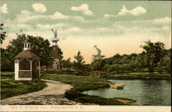 Lake At Shirley Hill Postcard