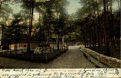 Scene Edgewood Park Shamokin, PA Postcard Postcard