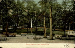 Scene Edgewood Park Shamokin, PA Postcard Postcard