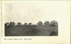 Scene At Shore Acres Postcard