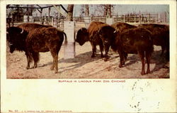 Stock #56070 Thumbnail