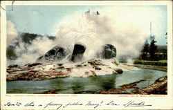 Grotto Geyser Postcard