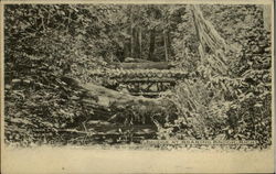 Bridge At Roaring Brook Michigan Postcard Postcard