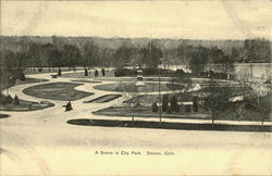 A Scene In City Park Postcard