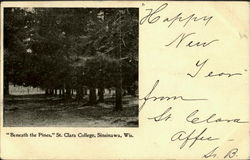 Beneath The Pines, St. Clara College Postcard