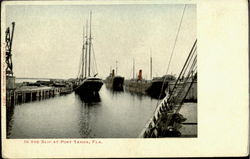 In The Slip At Port Tampa Postcard