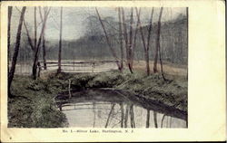 Silver Lake Burlington, NJ Postcard Postcard