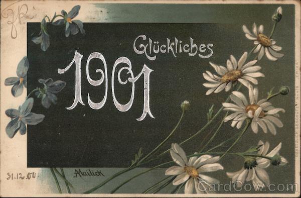 Several White Daisies Flowers