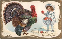 Thanksgiving Greetings Postcard