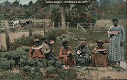 Water Melons, The Darkies Delight Postcard