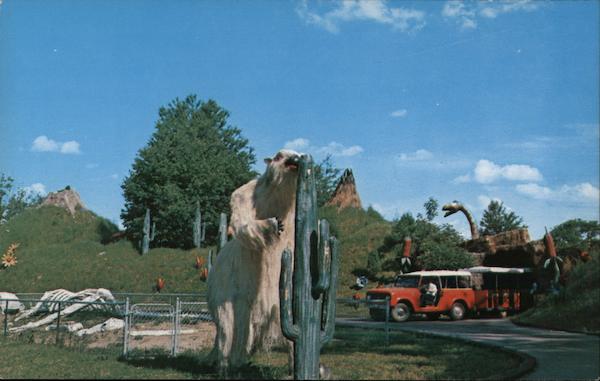 Prehistoric Forest Iris Hills Michigan