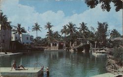 The Venetian Pool Coral Gables, FL Postcard Postcard Postcard