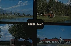 Bishop Multi-View Postcard