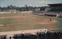 Clearwater Stadium Postcard