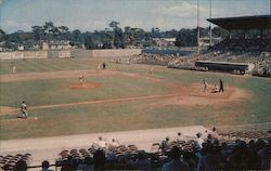 Clearwater Stadium Florida Postcard Postcard Postcard