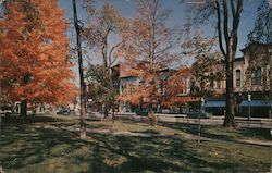 Park in the Adirondacks Postcard